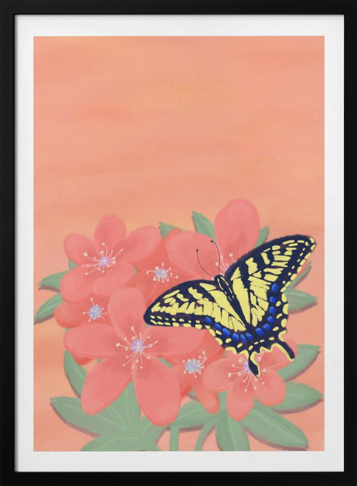 Tiger Swalowtail Butterfly | Poster