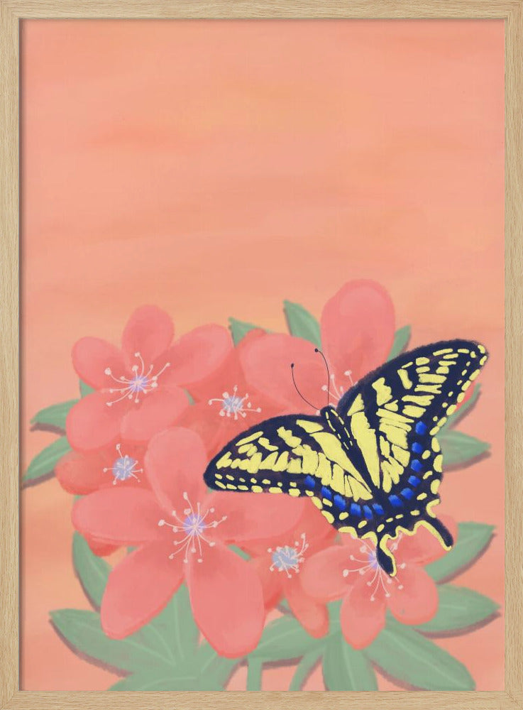 Tiger Swalowtail Butterfly | Poster