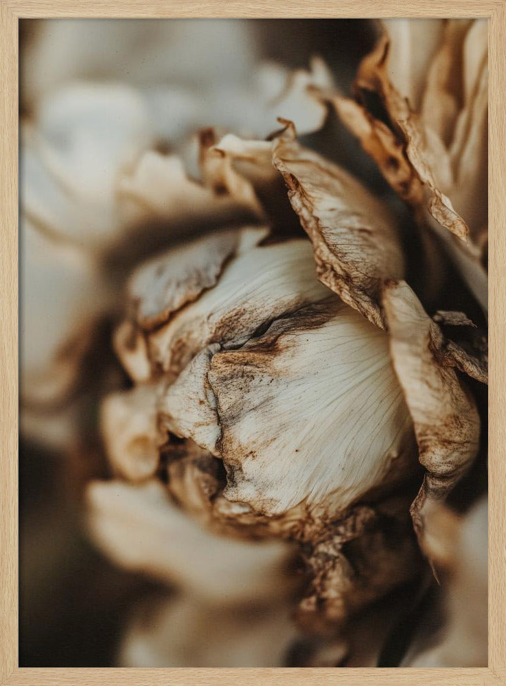 Whispering Petals | Poster