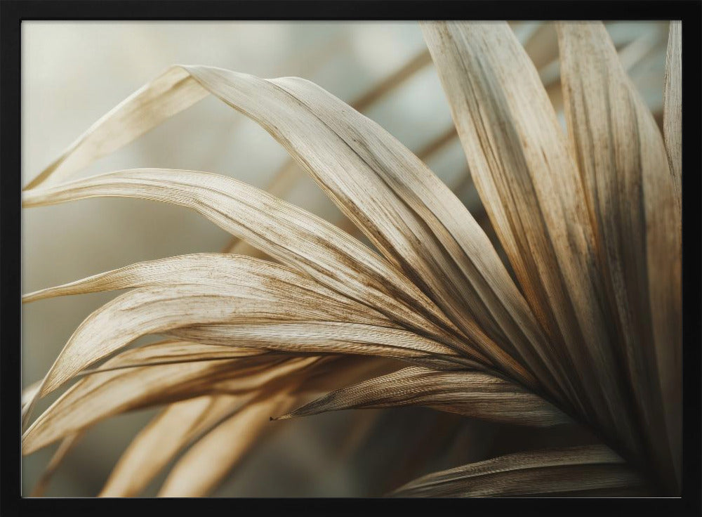 Whispering Leaves | Poster