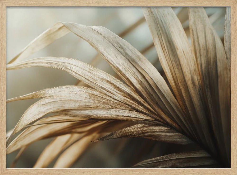 Whispering Leaves | Poster