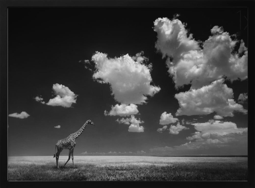 Gone with the Clouds | Poster