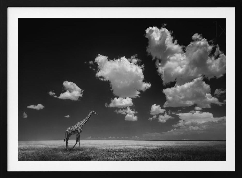 Gone with the Clouds | Poster