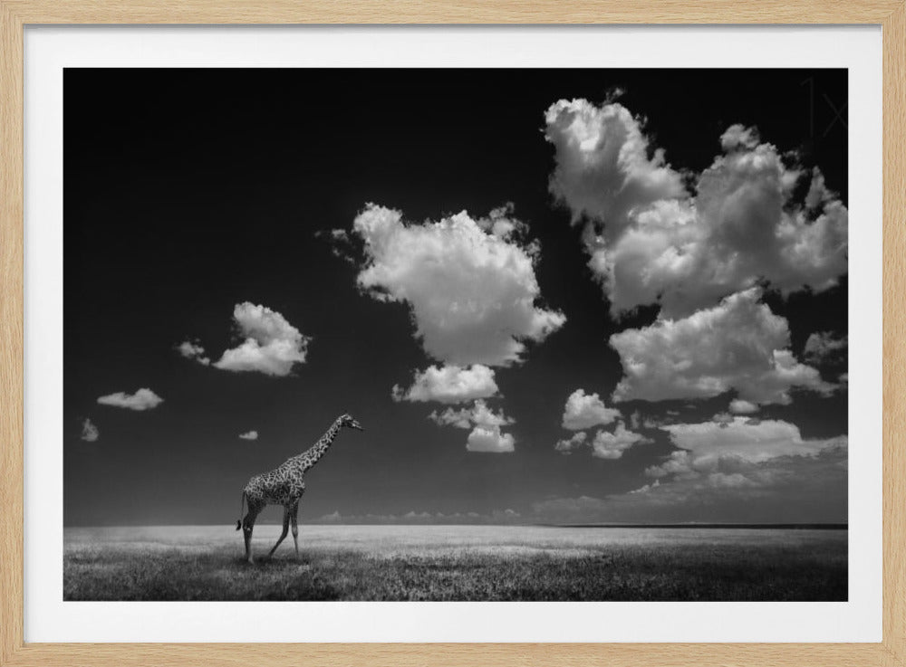 Gone with the Clouds | Poster