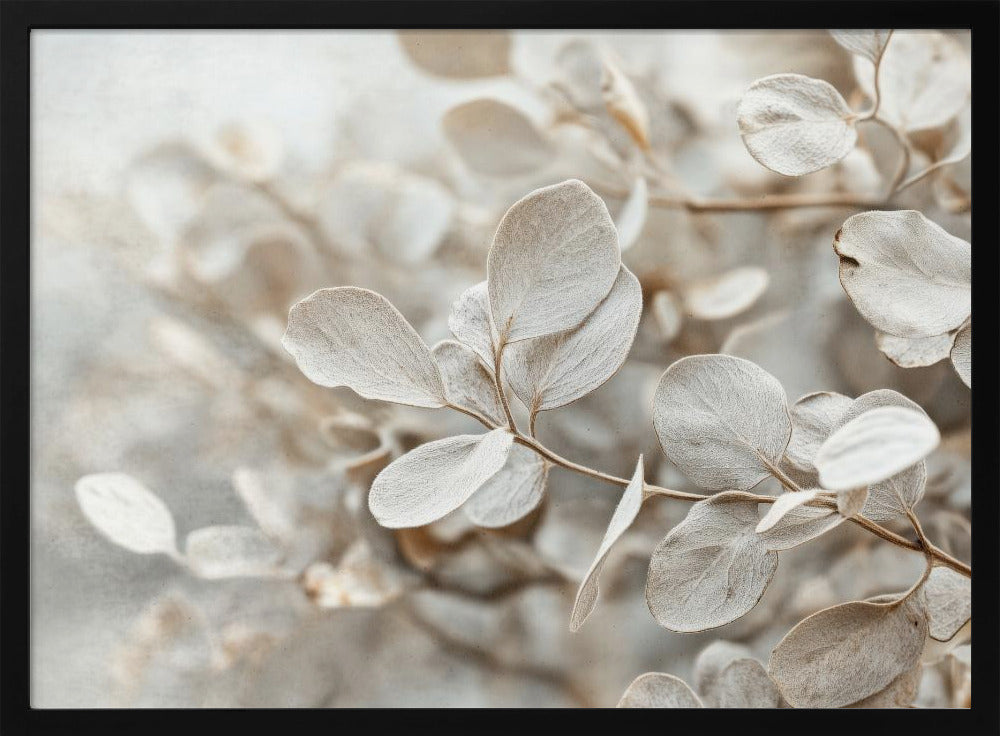 Ethereal Leaves | Poster