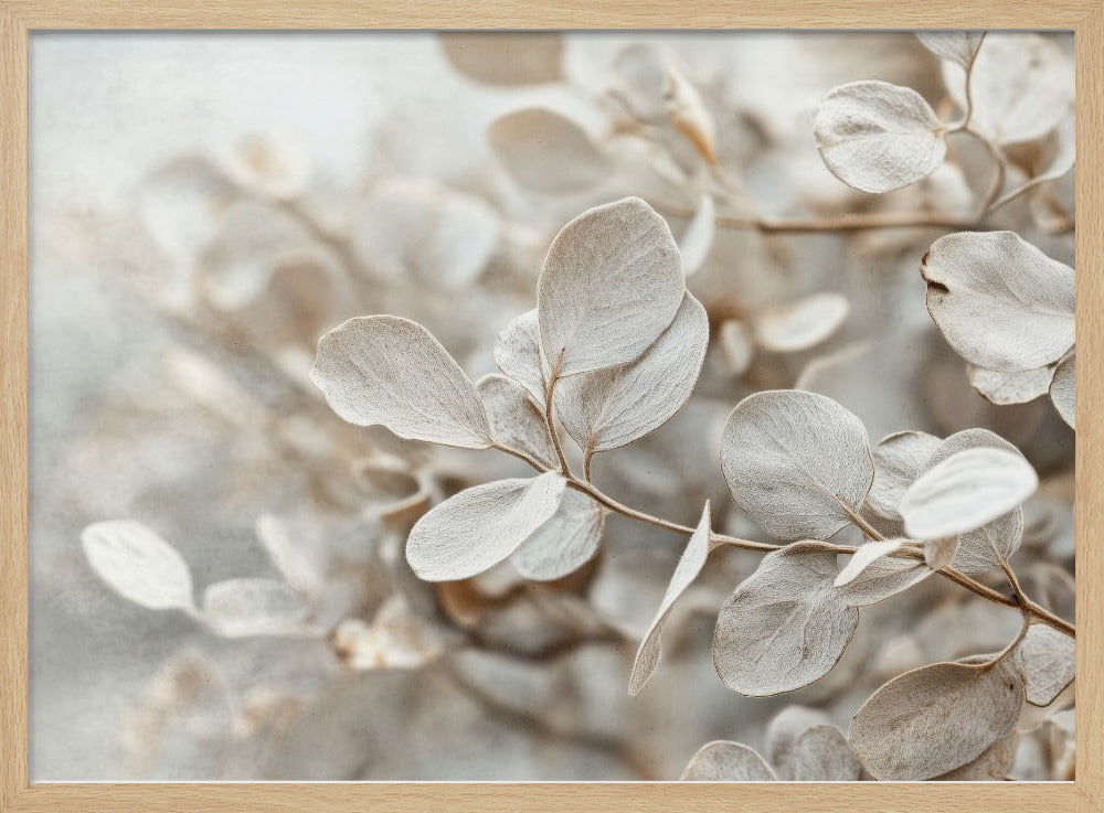 Ethereal Leaves | Poster