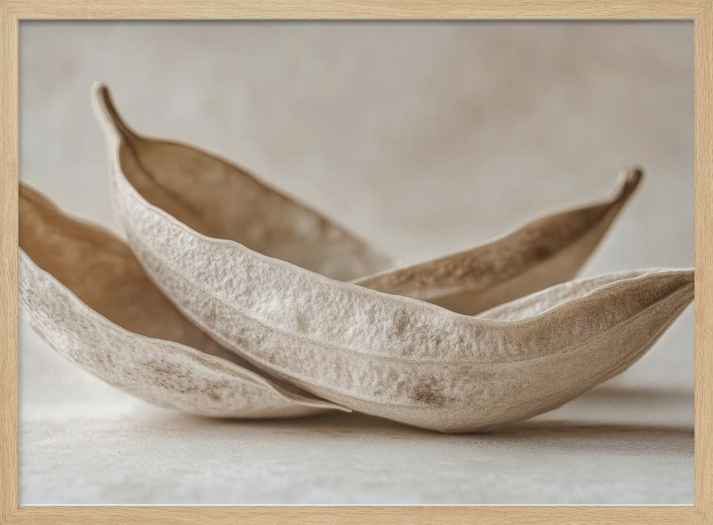 Whispers of Nature | Poster