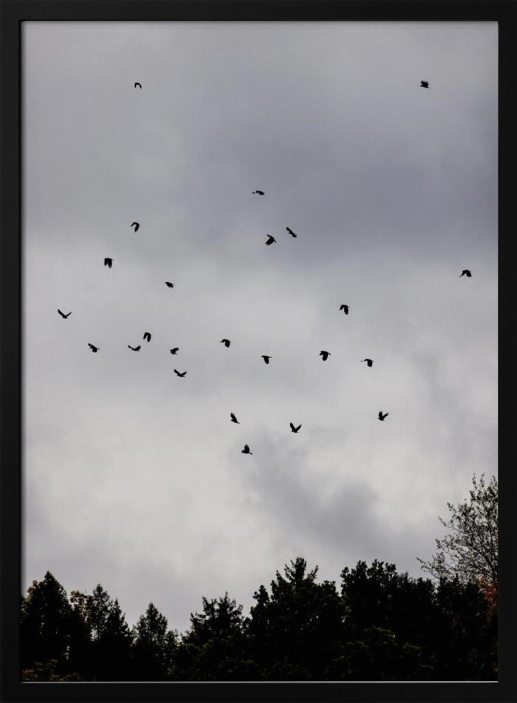 Birds and Clouds 1 | Poster