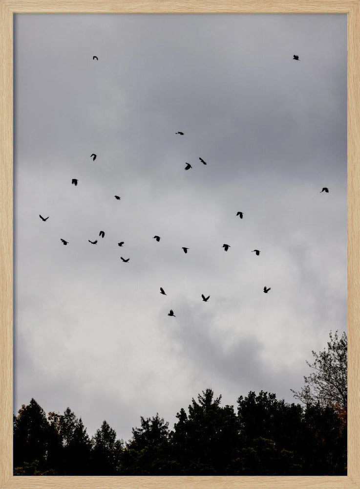 Birds and Clouds 1 | Poster