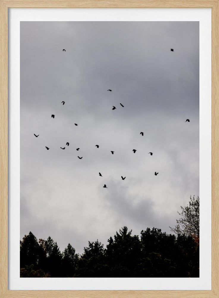 Birds and Clouds 1 | Poster