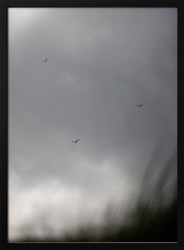 Birds and Clouds 2 | Poster