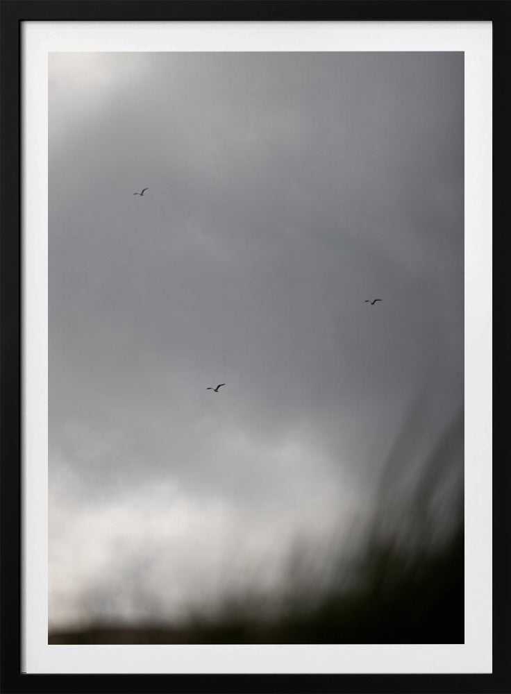 Birds and Clouds 2 | Poster