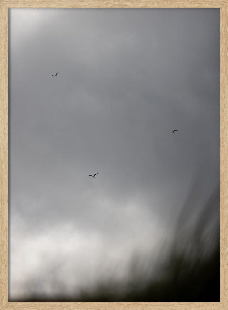 Birds and Clouds 2 | Poster