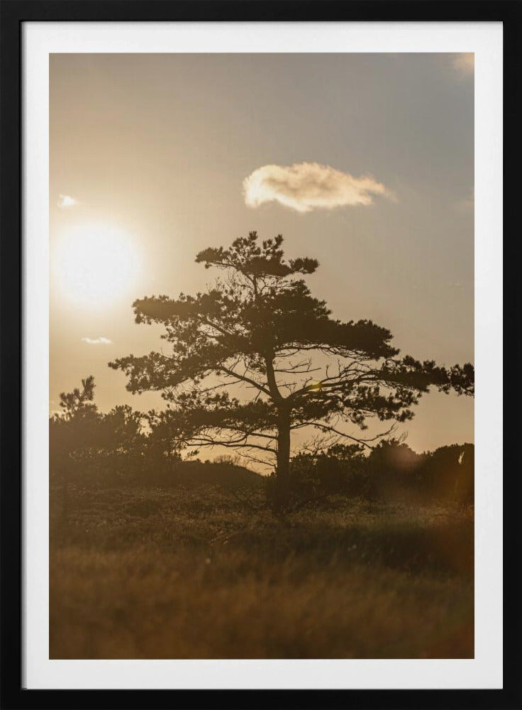 Tree In the Dunes 1 | Poster