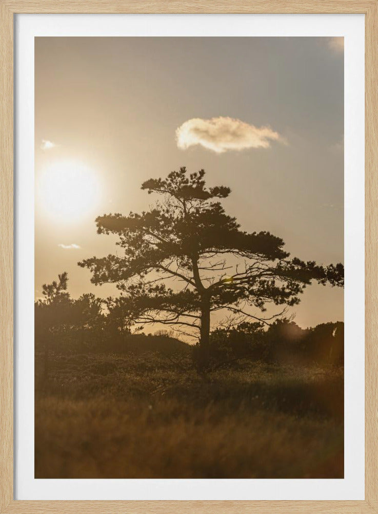 Tree In the Dunes 1 | Poster