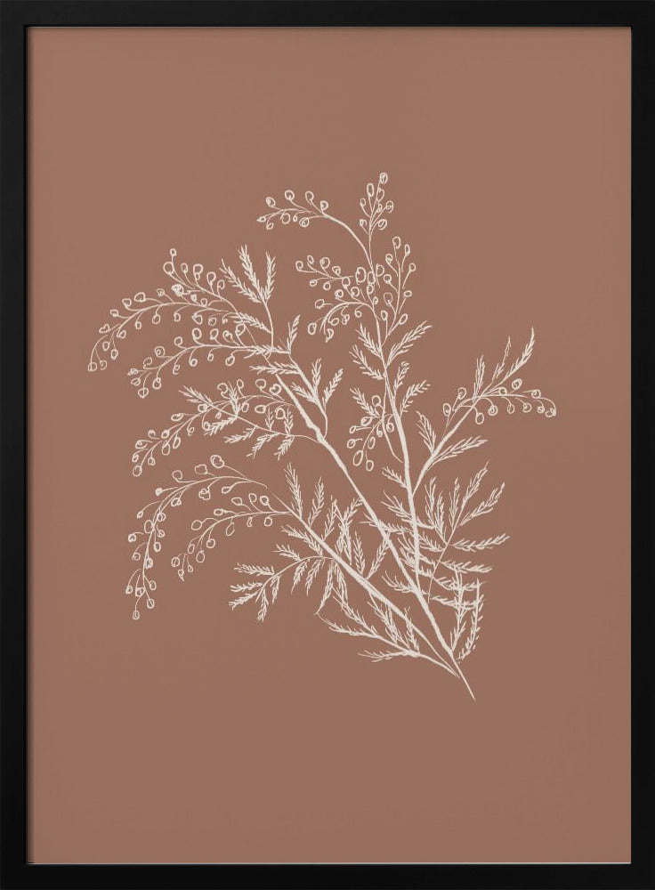 Acacia Botanical Branch | Poster