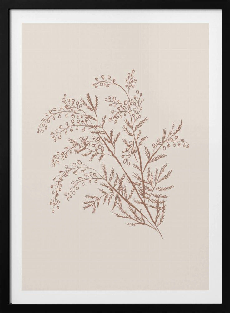 Acacia Botanical Branch | Poster