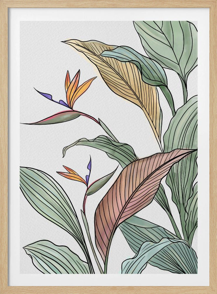 Brids of Paradise | Poster