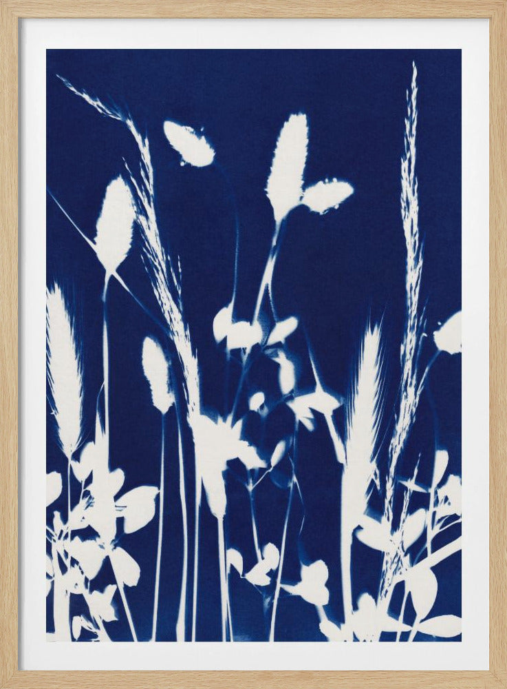 Cyan Herbarium #1 | Poster