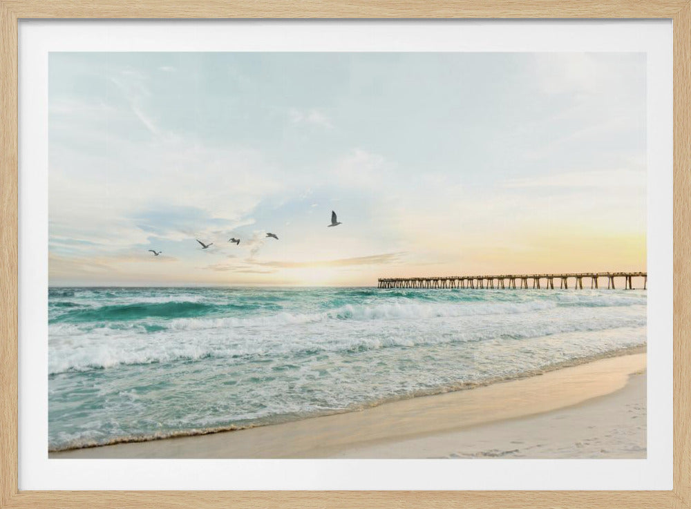 Birds At Pier | Poster