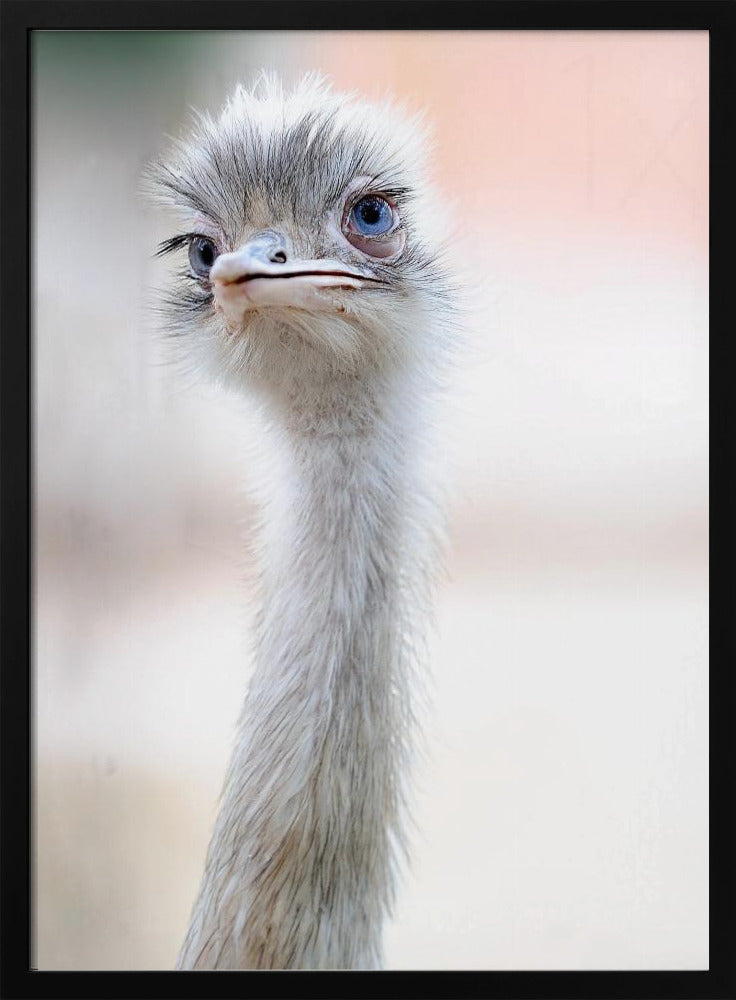 natural beauty | Poster