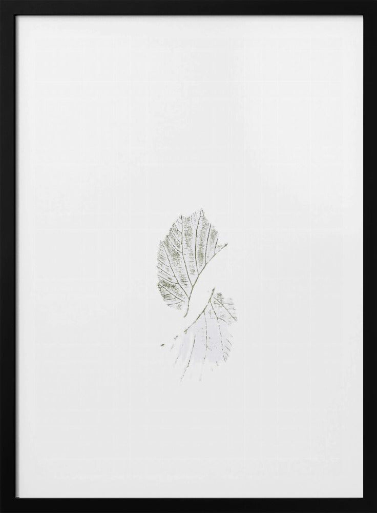 Minimal leaves | Poster