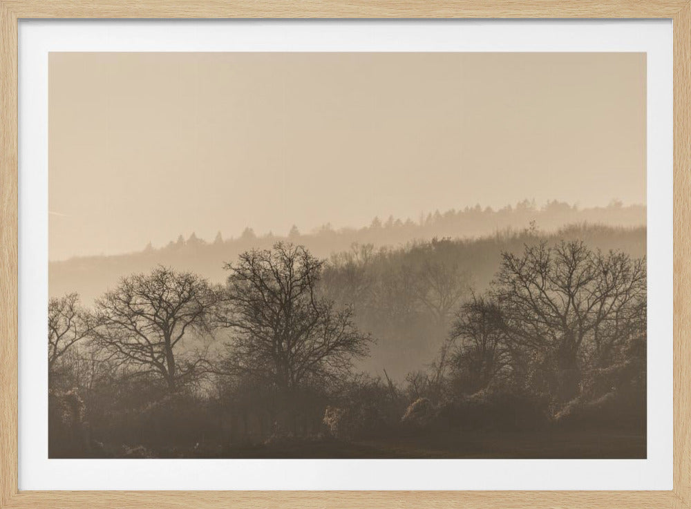 Fading Horizons 7 | Poster