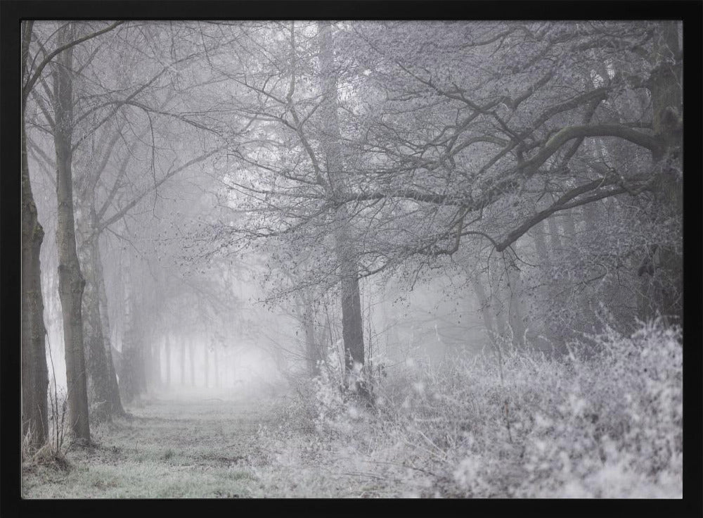 Foggy Winter Morning 1 | Poster