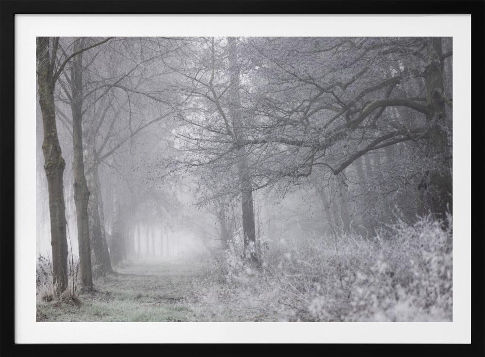 Foggy Winter Morning 1 | Poster