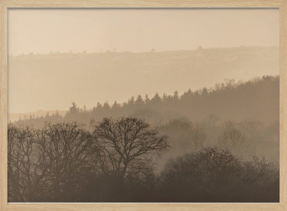 Fading Horizons 6 | Poster