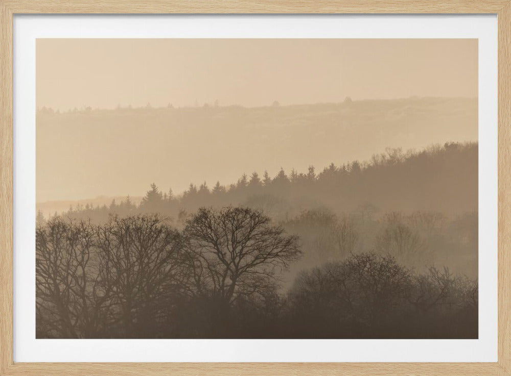 Fading Horizons 6 | Poster