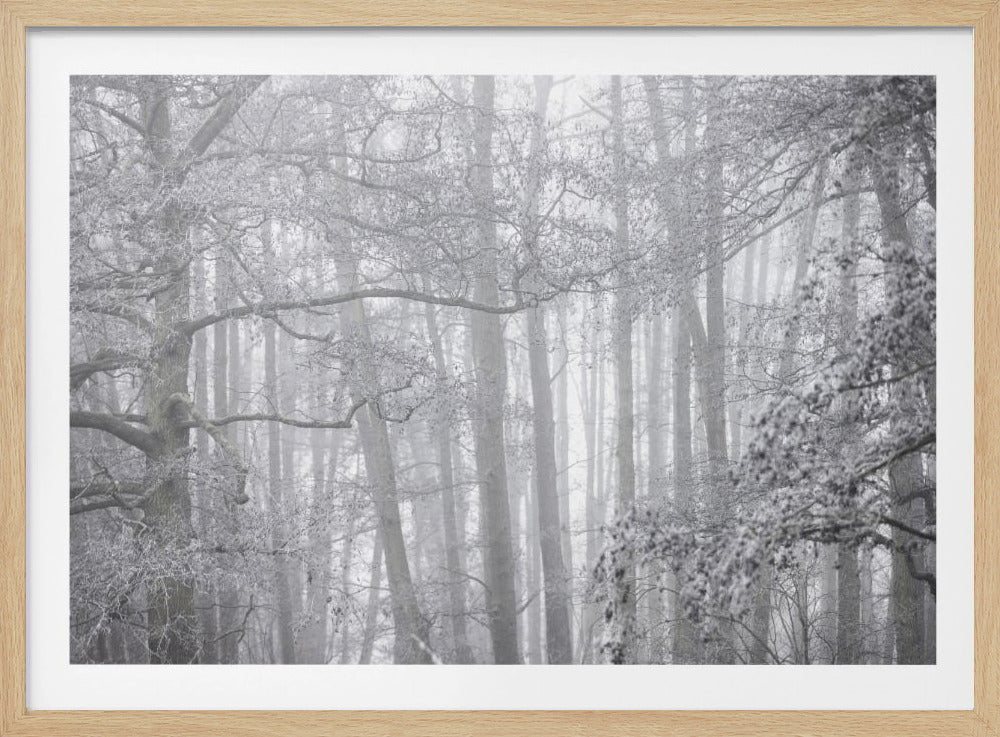 Foggy Winter Morning 2 | Poster