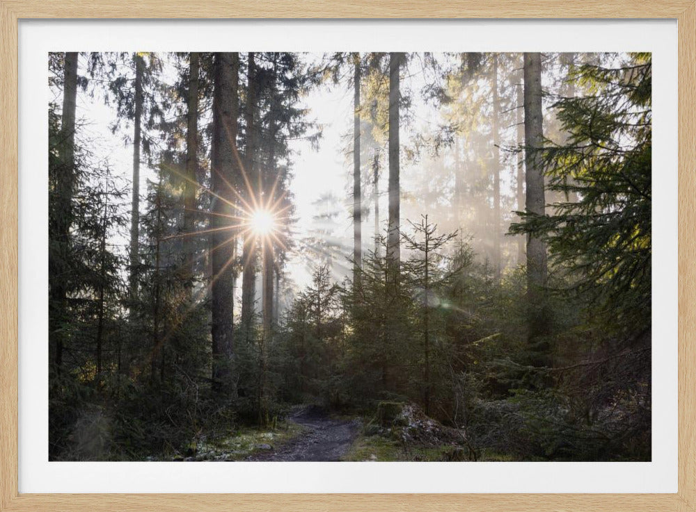 Hopeful Moments 2 | Poster