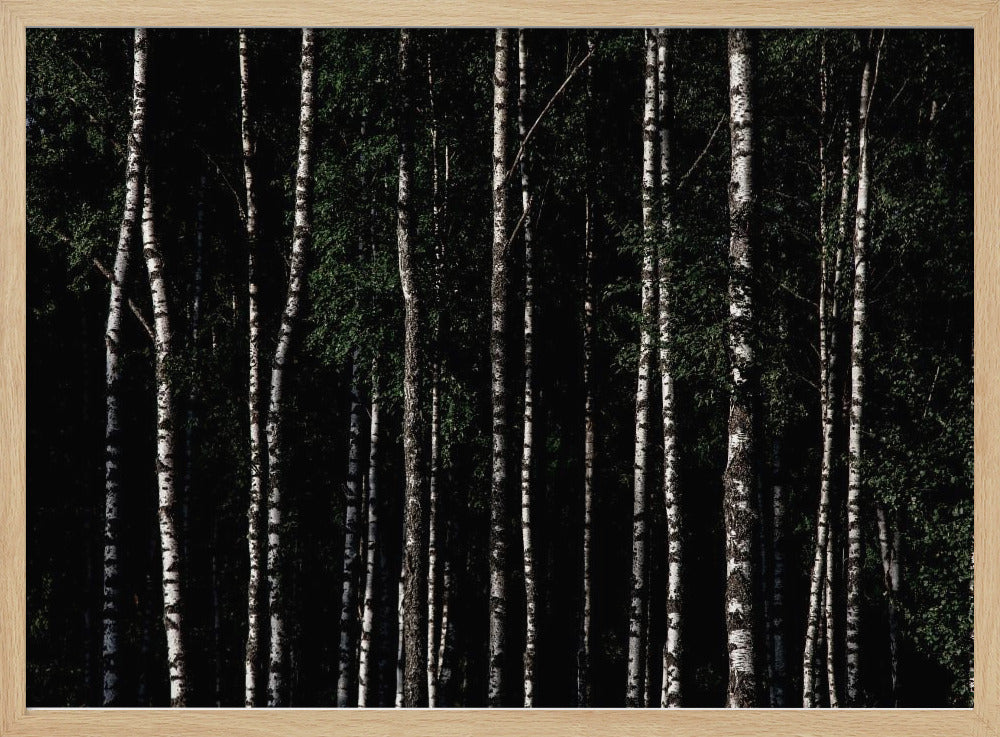 Somewhere In Sweden 4 | Poster