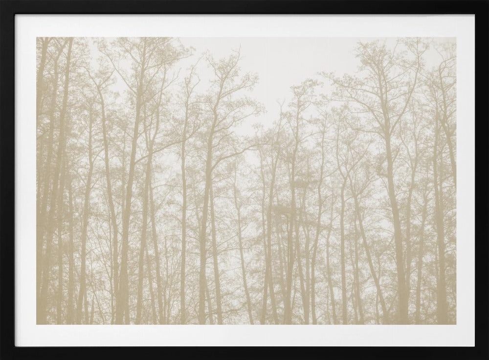 Tree Silhouettes 1 | Poster