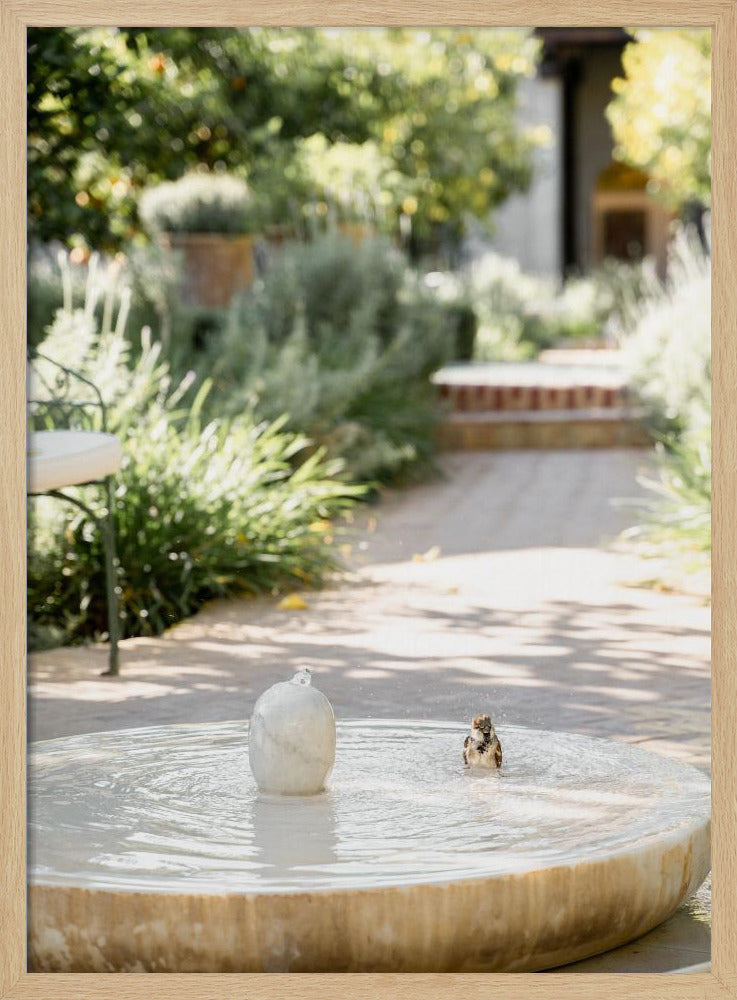 Feathers and Droplets | Poster