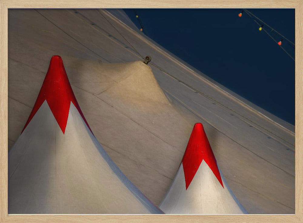Circus roof | Poster