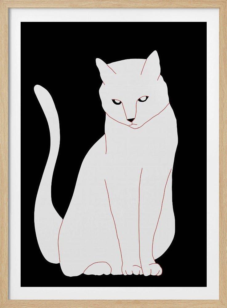 White and black cat | Poster