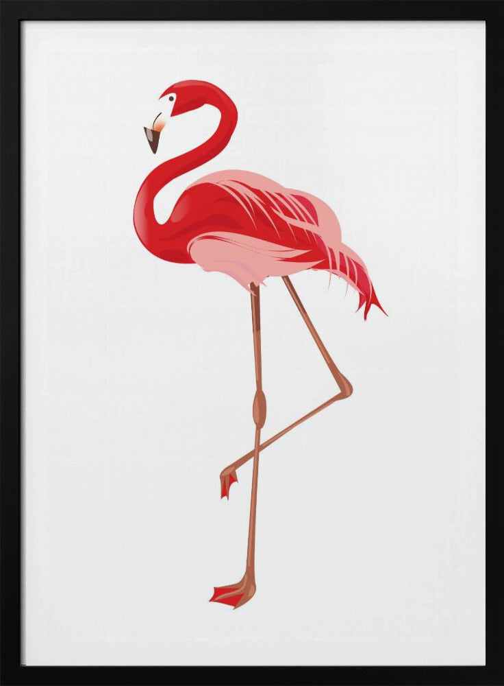 Flamingo | Poster