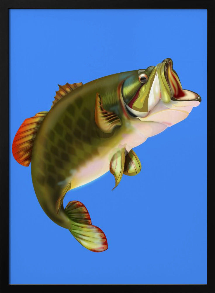 Bass Fish | Poster