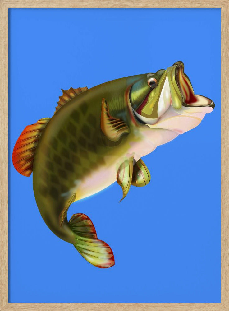 Bass Fish | Poster