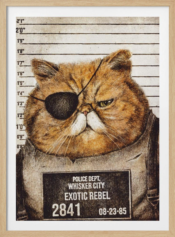 Funny Cat | Poster