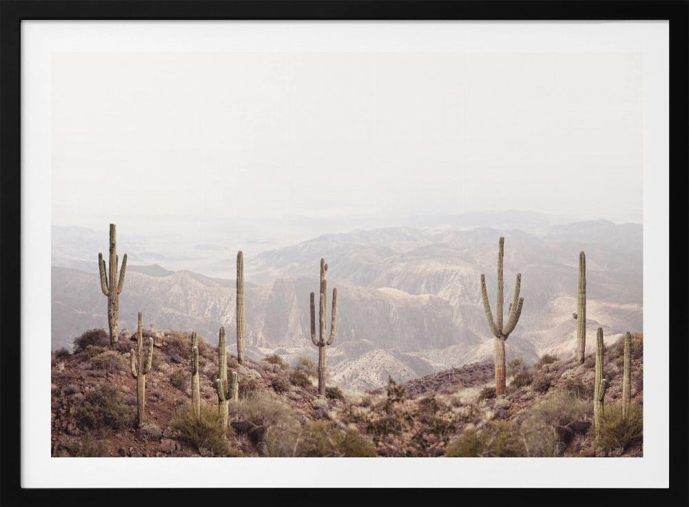 Arizona Valley | Poster