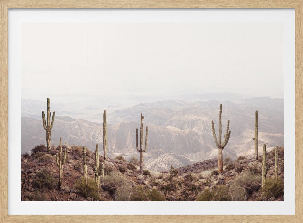 Arizona Valley | Poster