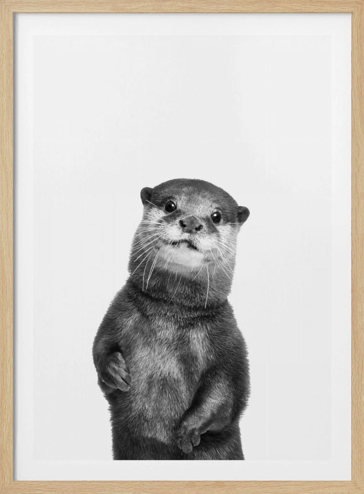 Otter | Poster