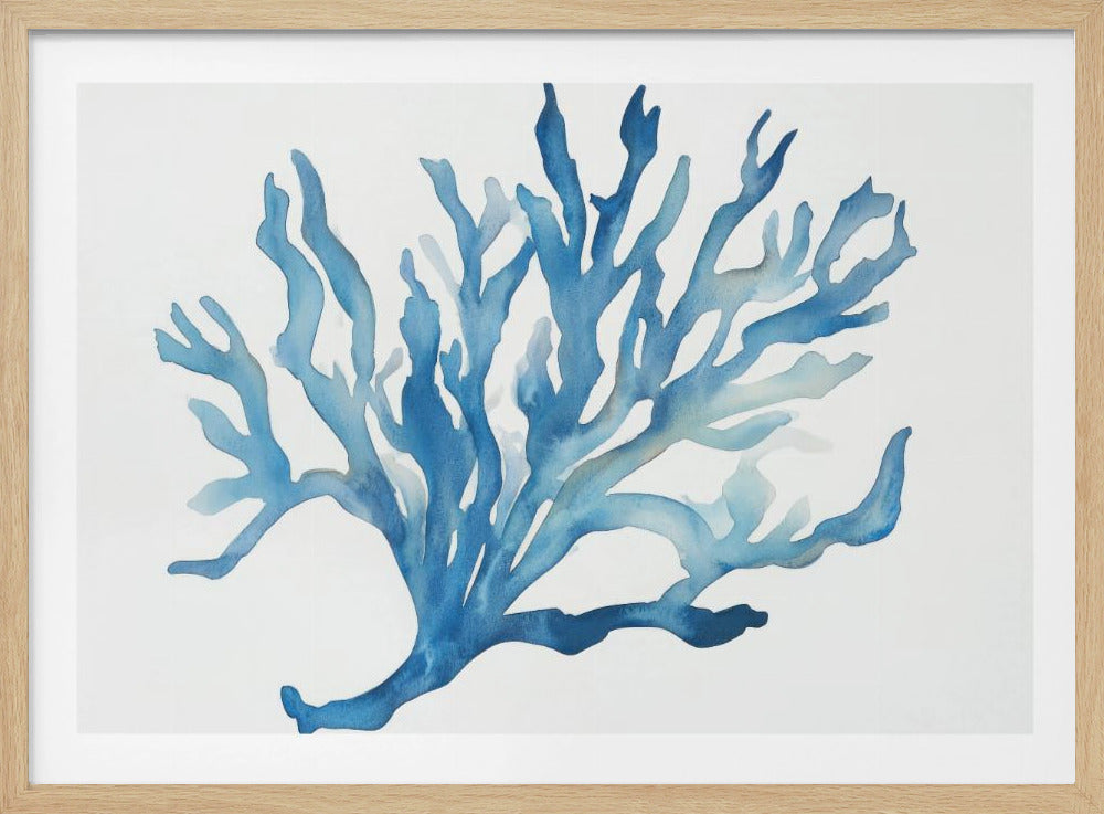 Blue Coral | Poster