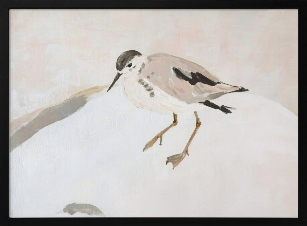 Cute Shorebird | Poster