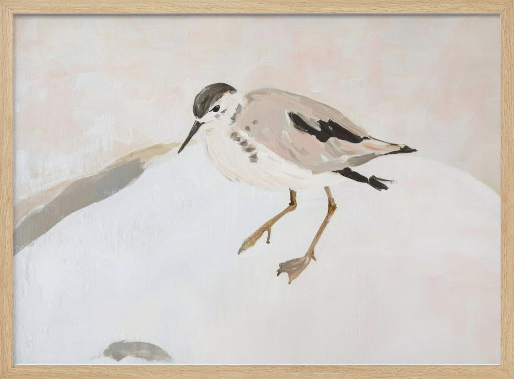 Cute Shorebird | Poster
