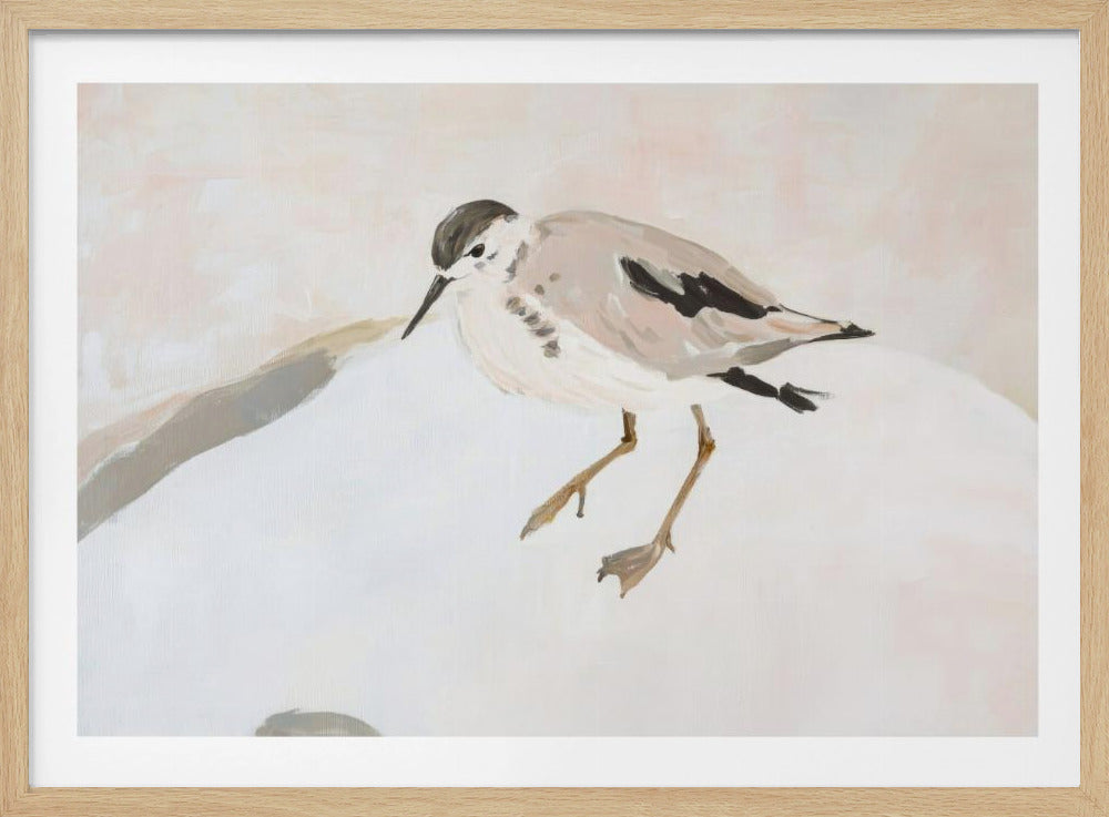Cute Shorebird | Poster