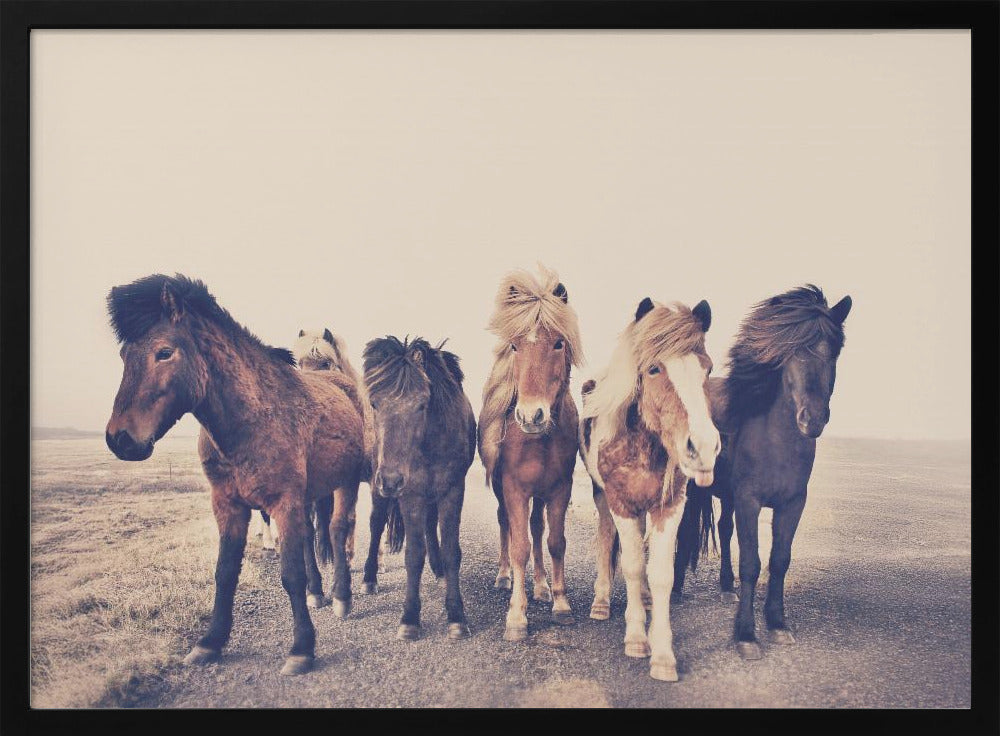 Horses | Poster